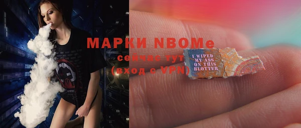гидропоника Горнозаводск