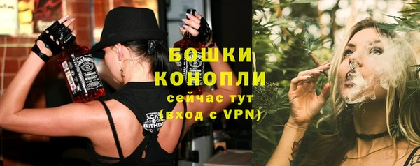 гидропоника Горнозаводск