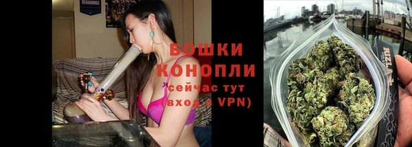 гидропоника Горнозаводск