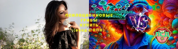 спиды Горно-Алтайск