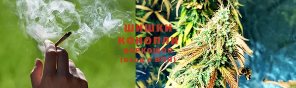 гидропоника Горнозаводск