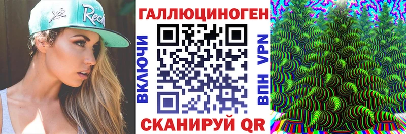 Купить где  Клин  Галлюциногенные грибы Psilocybine cubensis 